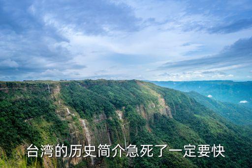 臺灣的歷史簡介急死了一定要快