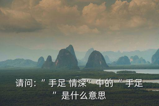 請問:“ 手足 情深”中的“ 手足”是什么意思