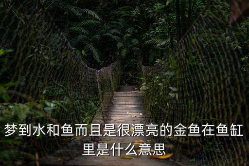 夢到水和魚而且是很漂亮的金魚在魚缸里是什么意思