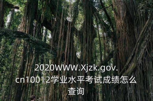 xjzk,新疆招生網如何查詢中學學業水平考試成績?