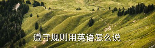 遵守規(guī)則的英文，遵守規(guī)則用英語怎么說