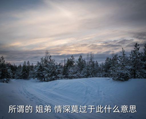 所謂的 姐弟 情深莫過(guò)于此什么意思