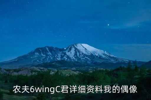 農夫6wingC君詳細資料我的偶像