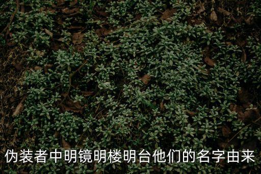 偽裝者中明鏡明樓明臺他們的名字由來