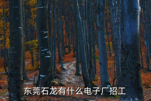 東莞石龍有什么電子廠招工