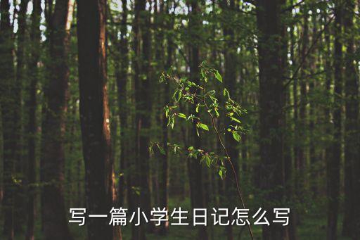 小學(xué)生日記怎么寫，小學(xué)日記如何寫