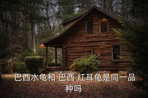  巴西水龜和 巴西 紅耳龜是同一品種嗎