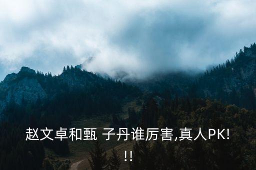 趙文卓和甄 子丹誰厲害,真人PK!!!