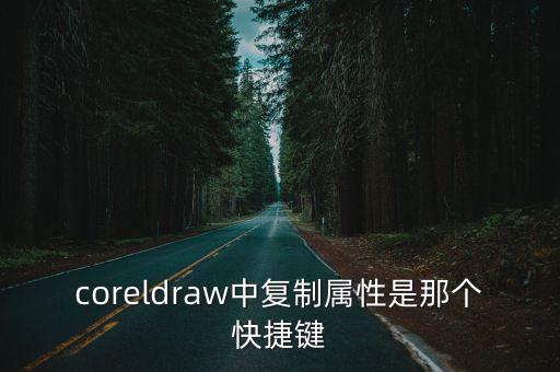 coreldraw中復(fù)制屬性是那個快捷鍵