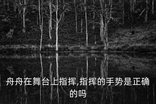 周周指揮家,唐氏綜合征患者周舟不是指揮家也不是天才