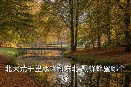 黑蜂椴樹雪蜜,俄羅斯錫霍特山盛產(chǎn)蜜蜂種類為高加索黑蜂
