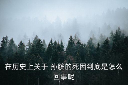 在歷史上關于 孫臏的死因到底是怎么回事呢