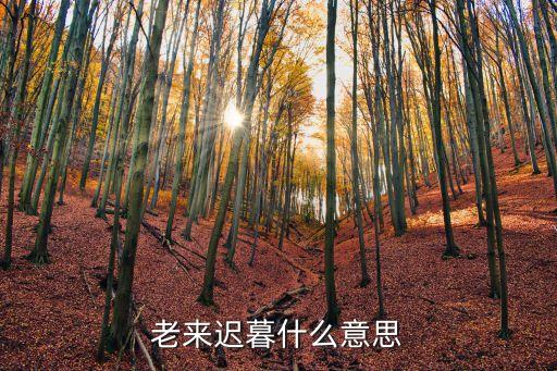 老老年,世衛:50歲只能算中年人不能算老年人