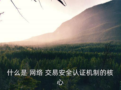 什么是 網絡 交易安全認證機制的核心