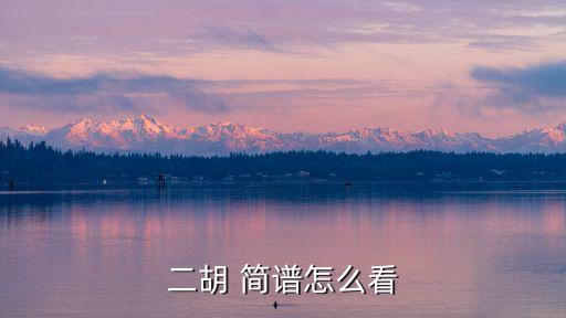 二胡 簡(jiǎn)譜怎么看