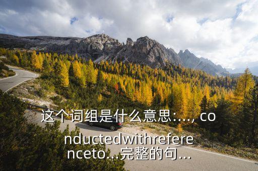這個詞組是什么意思:..., conductedwithreferenceto...完整的句...