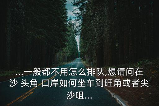 ...一般都不用怎么排隊,想請問在沙 頭角 口岸如何坐車到旺角或者尖沙咀...