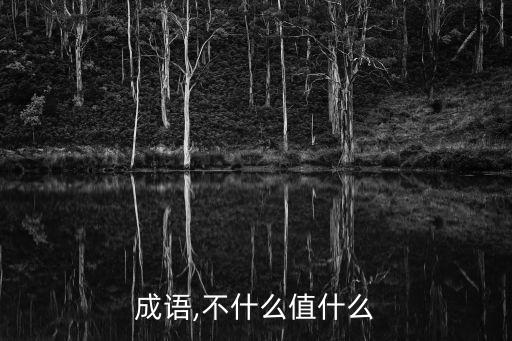 成語,不什么值什么