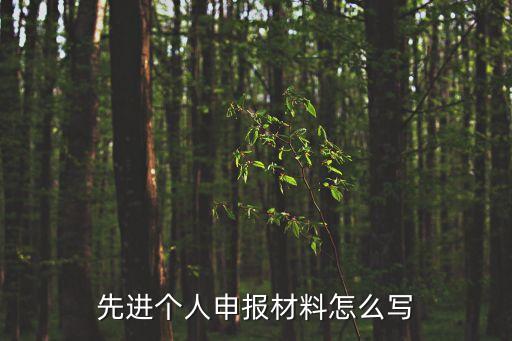 先進個人申報材料怎么寫