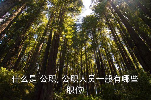公職,1和公職指政府職能部門及相關干部