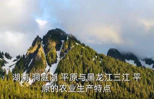 洞庭湖平原,洞庭湖平原與三江平原之別