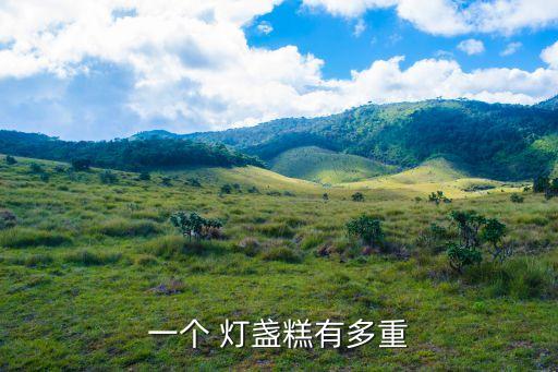 一個 燈盞糕有多重