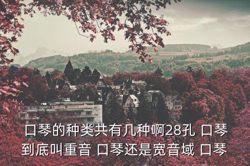  口琴的種類共有幾種啊28孔 口琴到底叫重音 口琴還是寬音域 口琴