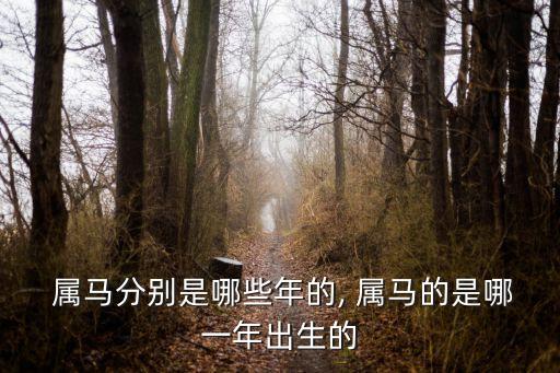 屬馬的年份,馬年的年份是什么?