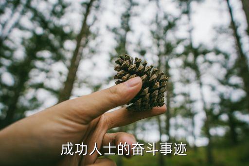 奮斗的故事，成功人士的奮斗事跡