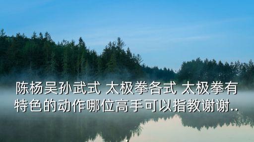 陳楊吳孫武式 太極拳各式 太極拳有特色的動作哪位高手可以指教謝謝...