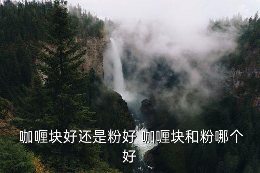 咖喱塊,如何延長剩菜咖喱件保質期?可放入冷凍室!