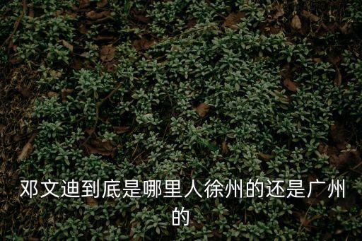  鄧文迪到底是哪里人徐州的還是廣州的
