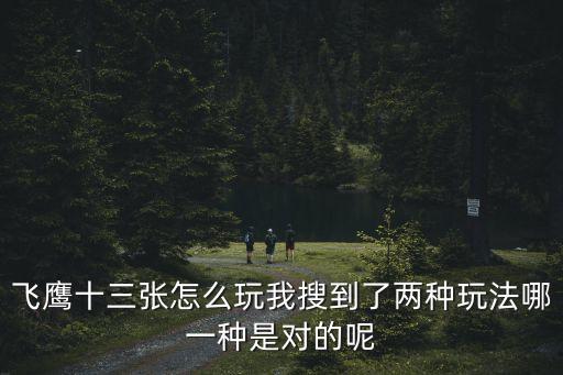 飛鷹十三張怎么玩我搜到了兩種玩法哪一種是對的呢
