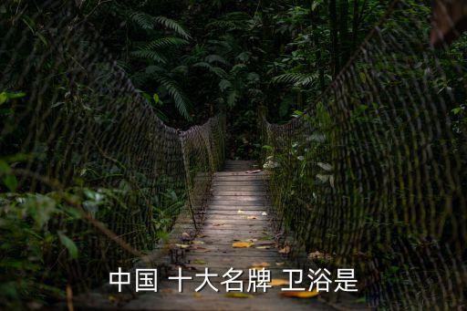 中國 十大名牌 衛浴是