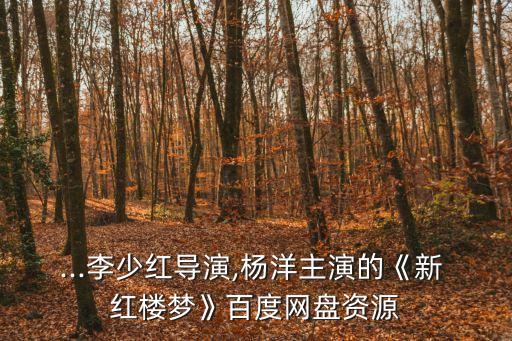 ...李少紅導演,楊洋主演的《新 紅樓夢》百度網盤資源