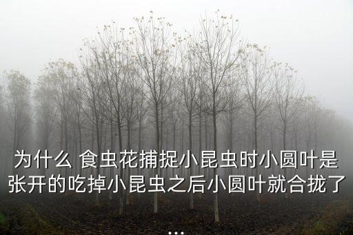 為什么 食蟲花捕捉小昆蟲時小圓葉是張開的吃掉小昆蟲之后小圓葉就合攏了...