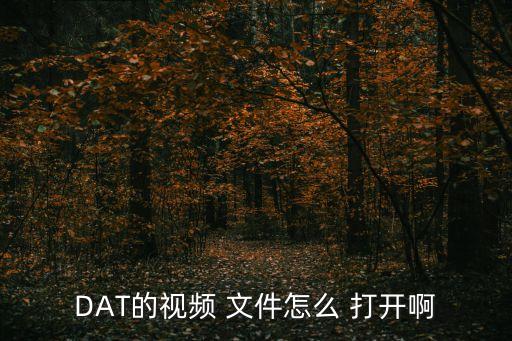 dat文件怎么打開