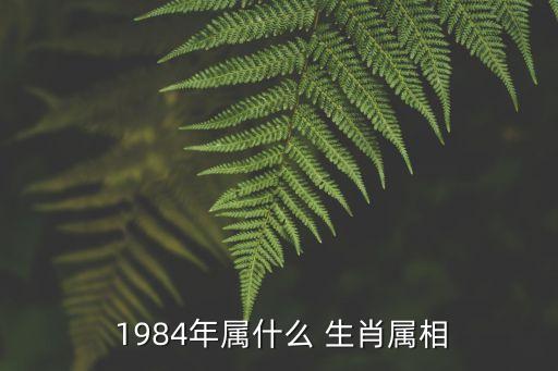 1984年屬什么生肖,2020年是什么年?
