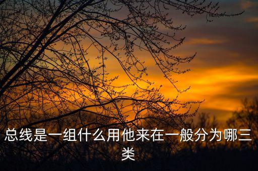 總線是一組什么用他來在一般分為哪三類