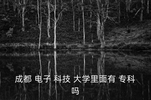 成都 電子 科技 大學里面有 專科嗎