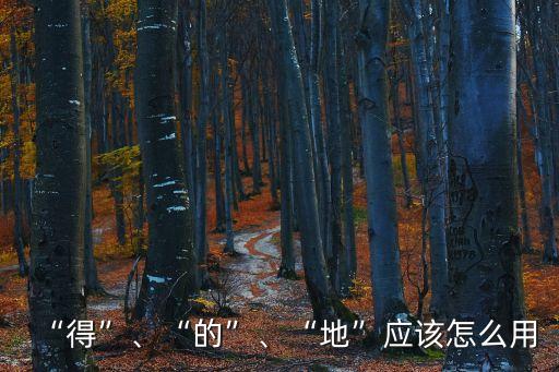 “得”、“的”、“地”應該怎么用