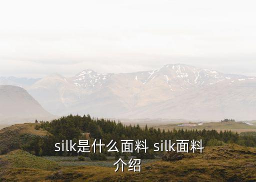  silk是什么面料 silk面料介紹