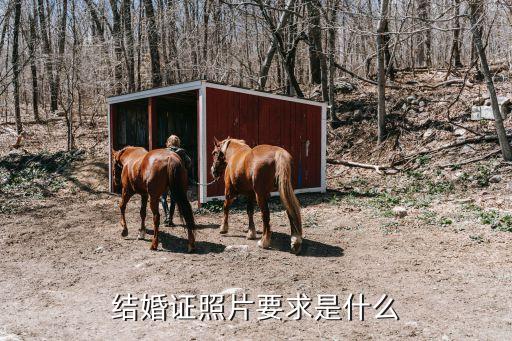 結婚照相片,中國婚禮登記照片要求:新人近期免冠照