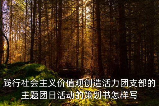 踐行社會主義價值觀創造活力團支部的主題團日活動的策劃書怎樣寫