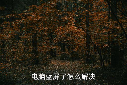 電腦藍屏了怎么解決