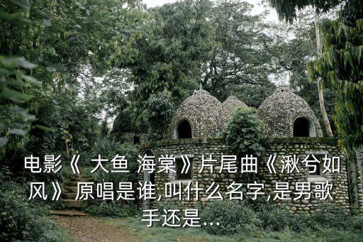 電影《 大魚 海棠》片尾曲《湫兮如風》 原唱是誰,叫什么名字,是男歌手還是...