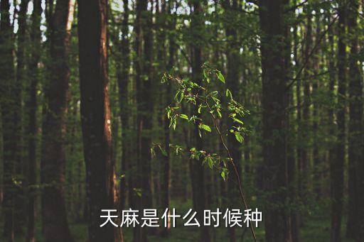 天麻是什么時候種