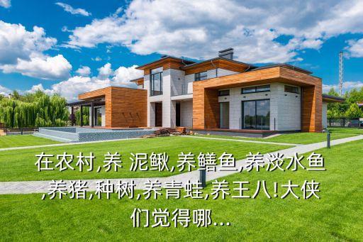 在農村,養 泥鰍,養鱔魚,養淡水魚,養豬,種樹,養青蛙,養王八!大俠們覺得哪...