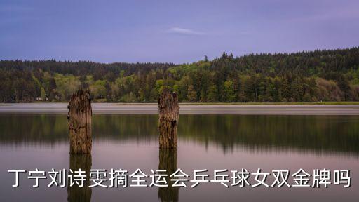 丁寧劉詩雯摘全運會乒乓球女雙金牌嗎