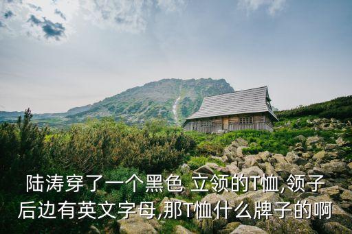 陸濤穿了一個黑色 立領的T恤,領子后邊有英文字母,那T恤什么牌子的啊